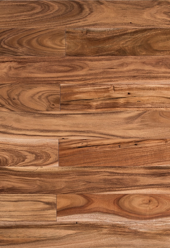 ใบเล็ก ๆ Acacia 90 พื้นไม้เนื้อแข็งแบน